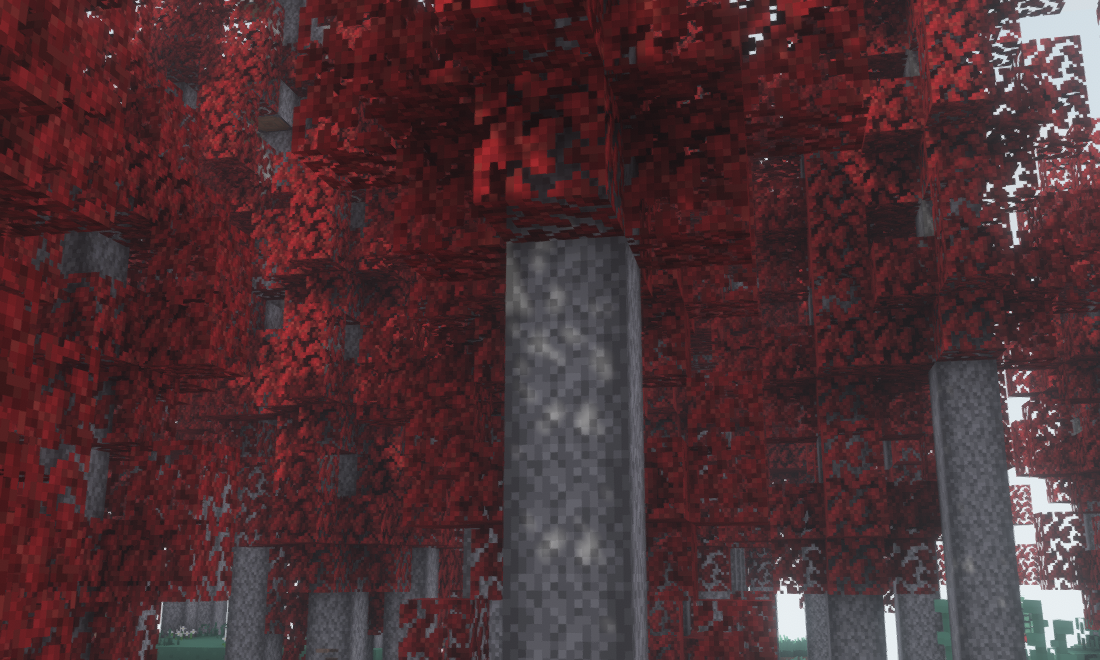 2024-12-18_13_46_15.png.e967f2b1f2e4b0d8874c73245d555efe.png